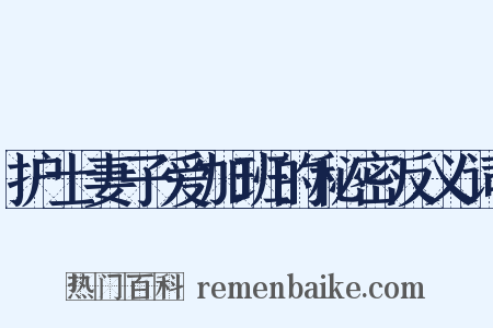 护士妻子爱加班的秘密反义词是什么意思的图片